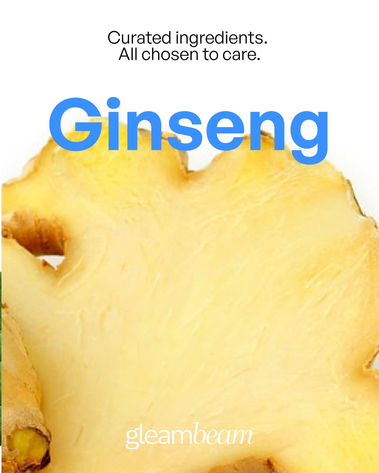 Panax Ginseng Root Extract (Ginseng)